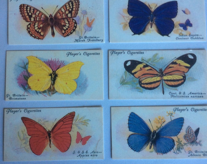 Butterflies, set of 6 assorted. Vintage,