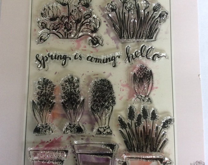 Spring is coming , clear stamps,set 11 stamps