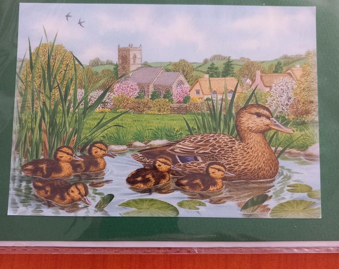 Hand made greeting card , Birds ,blank card ,