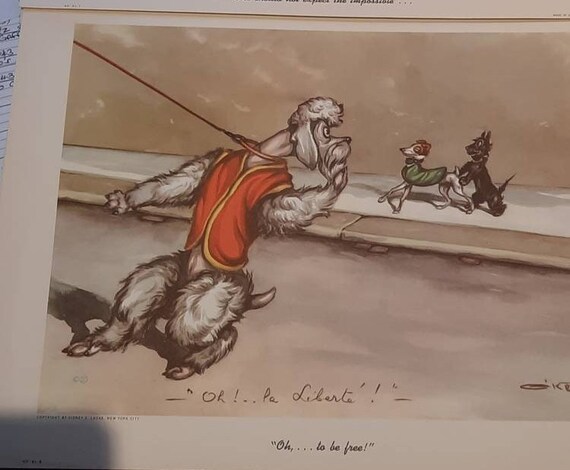 Boris O'klein Naughty/dirty Dogs of Paris - Sidney Lucas - Choice