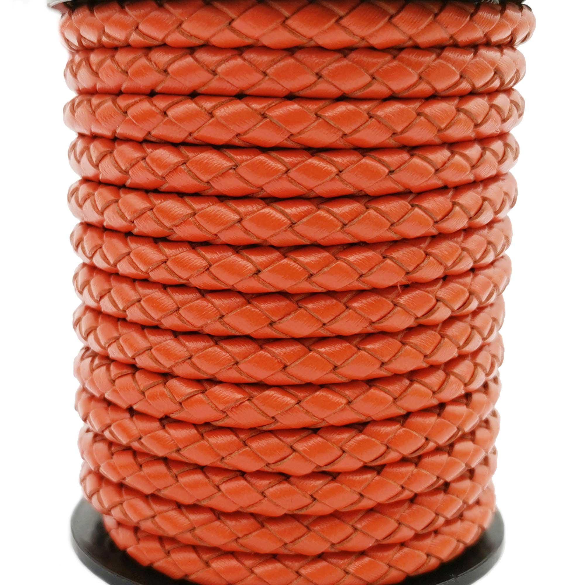 Taille Poney, Cob ou Cheval - Licol plat Marron clair - Collection