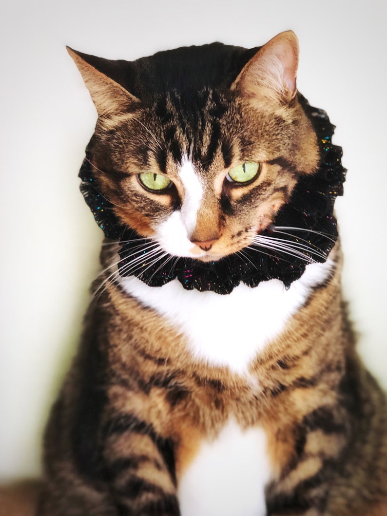 Crochet Ruffle Cat Collar Elastic Black Small Dog Necklace XS Black