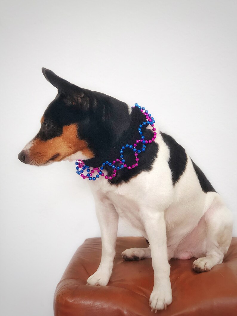 mardi gras dog collar