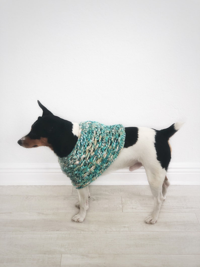 Chunky Crochet Dog Poncho Unique Cape Handmade Blue Terrier Winter