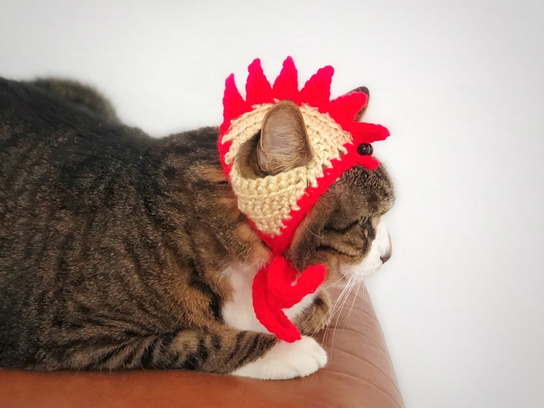 Crochet Chicken Hat for Cat Small Dog, Unique Handmade Halloween