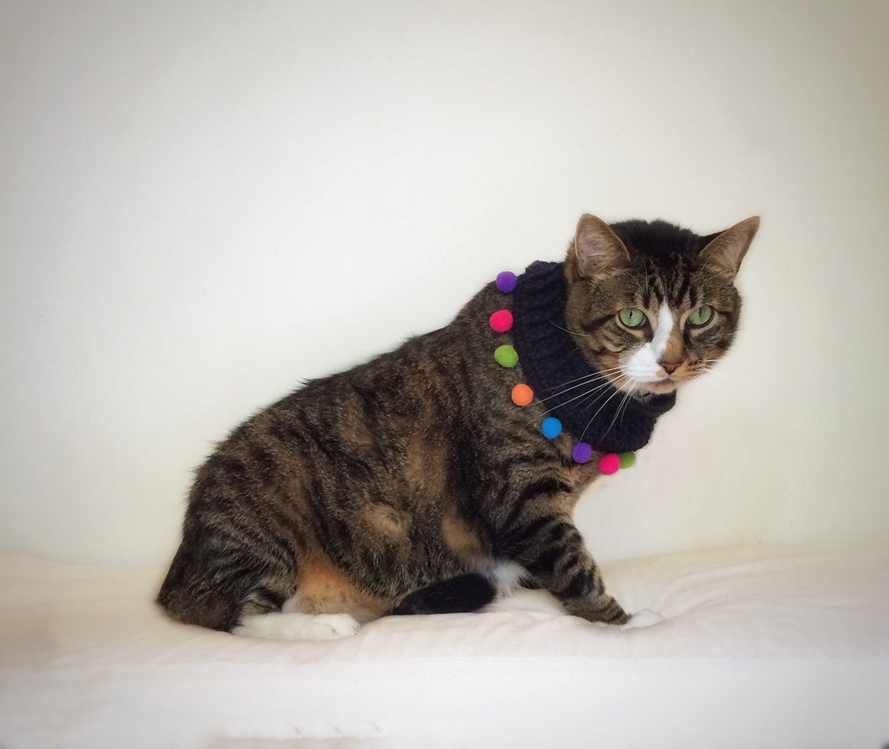 cat scarf collar