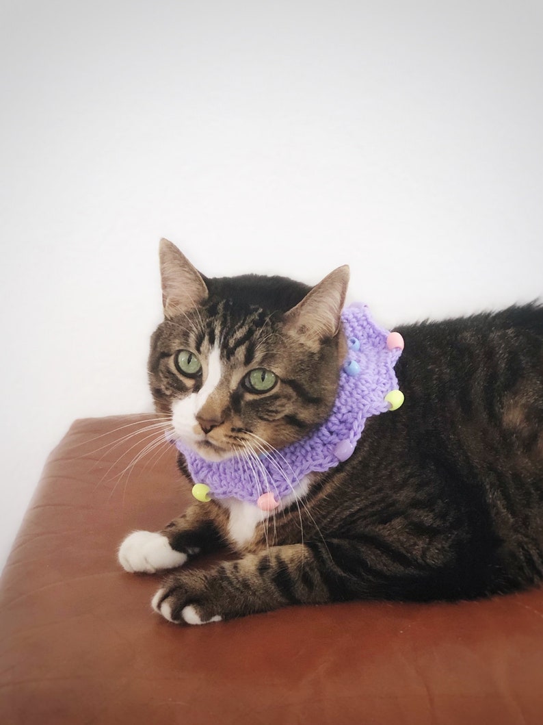 Wide Crochet Cat Collar Beaded Cat Scarf Purple Multicolored Etsy