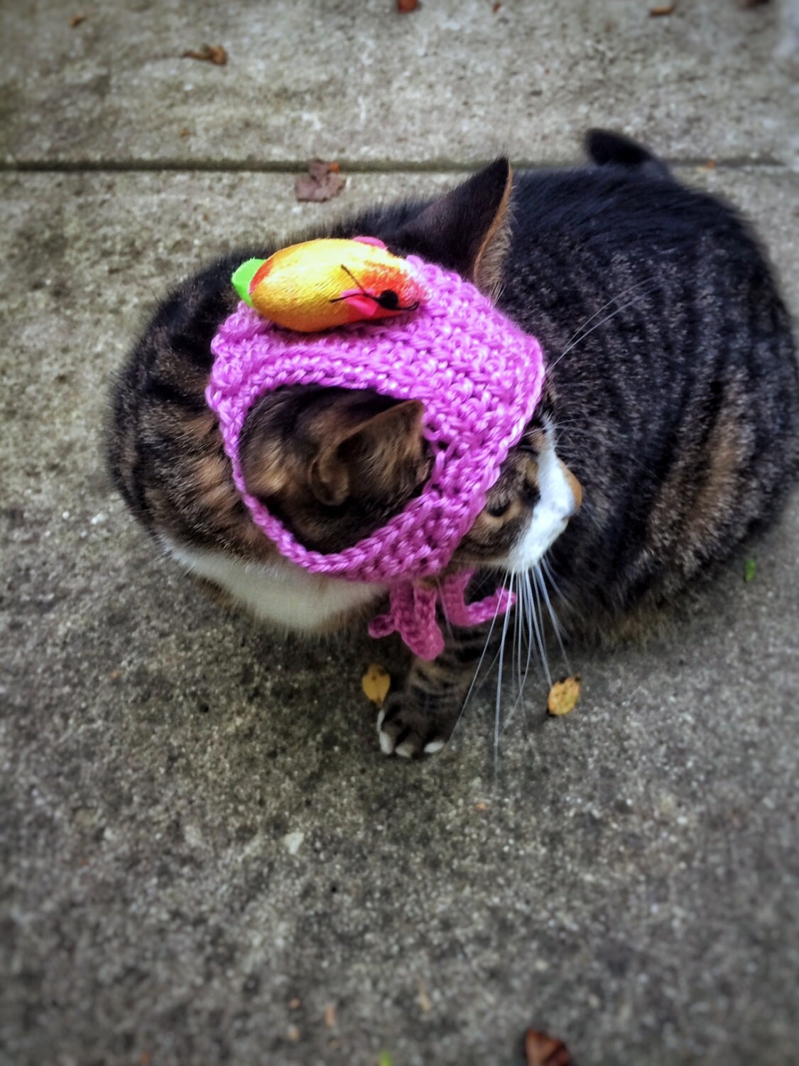 Halloween Costume Cat Hat Pet Hat With Mouse Crochet Unique Etsy