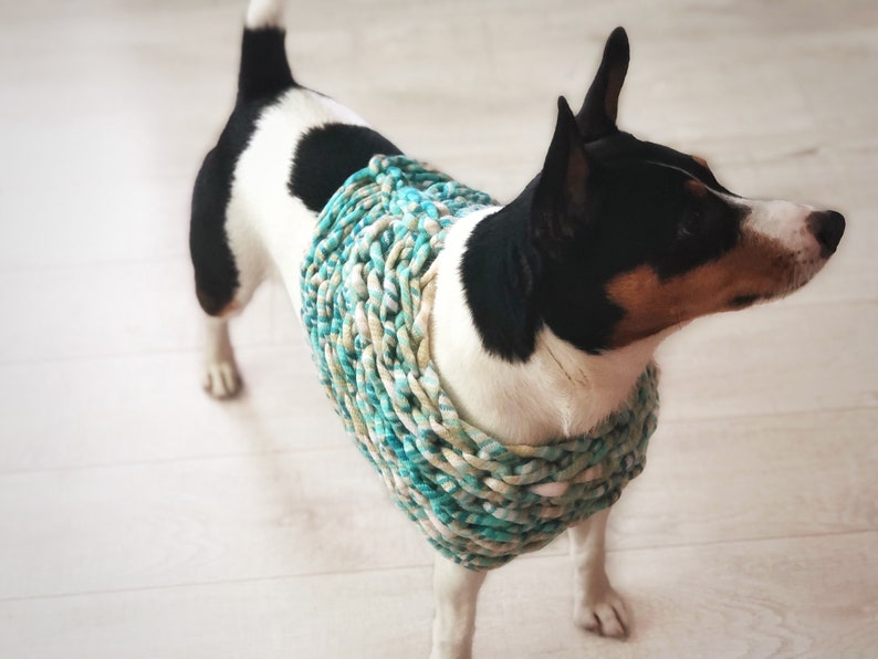 Chunky Crochet Dog Poncho Unique Cape Handmade Blue Terrier Winter