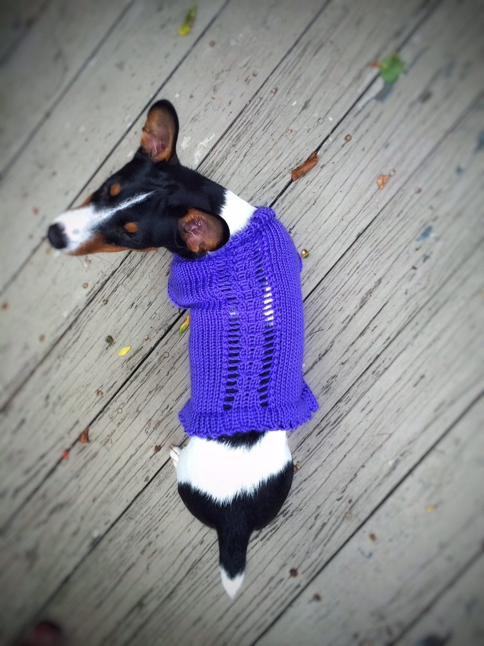 Knit Dog Sweater Terrier Husky Unique Handmade Hand Knit Etsy