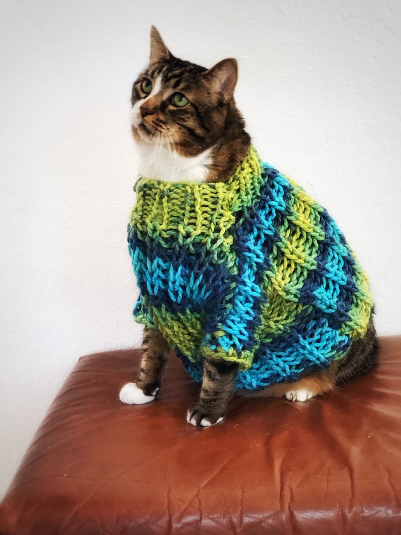 Chunky Knit Sweater for Cat Oversized Cat Sweater Blue Green Etsy