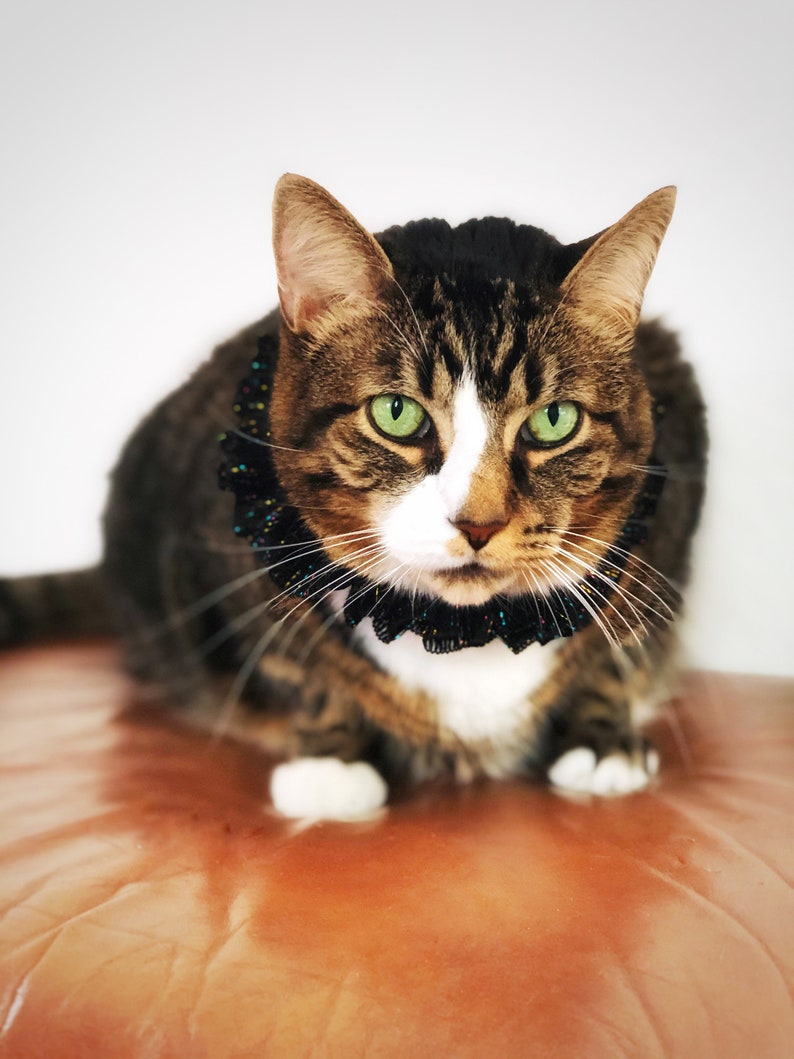 Crochet Ruffle Cat Collar Elastic Black Small Dog Necklace XS Black