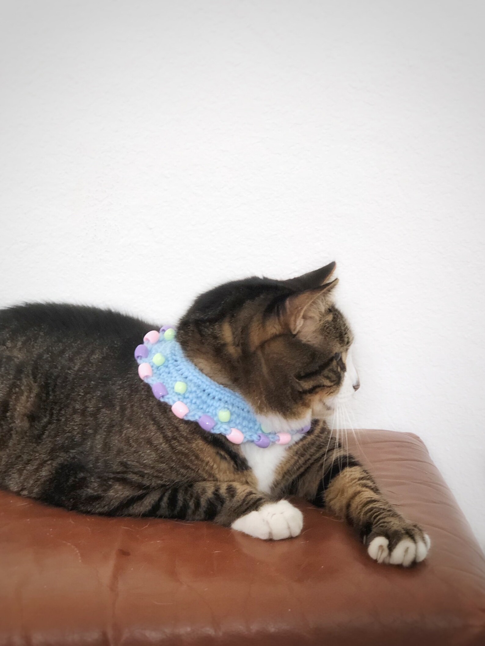 Crochet Elastic Cat Collar Beaded Cat Necklace Blue With Multicolored Beads Necklace Wide Collar