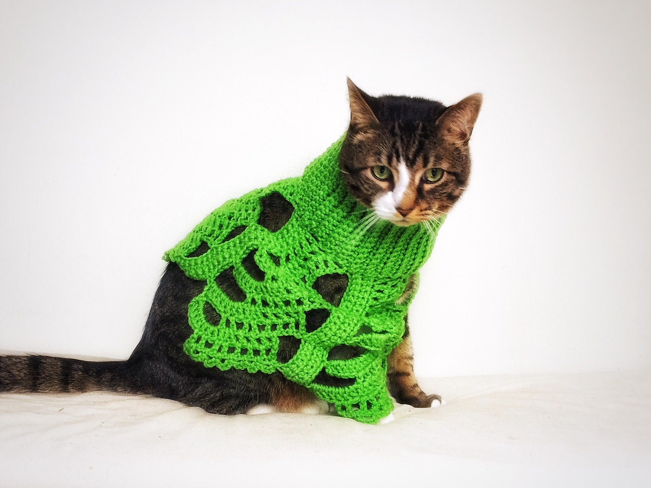 Crochet Cat Poncho Green Small Lace Unique Handmade - Etsy