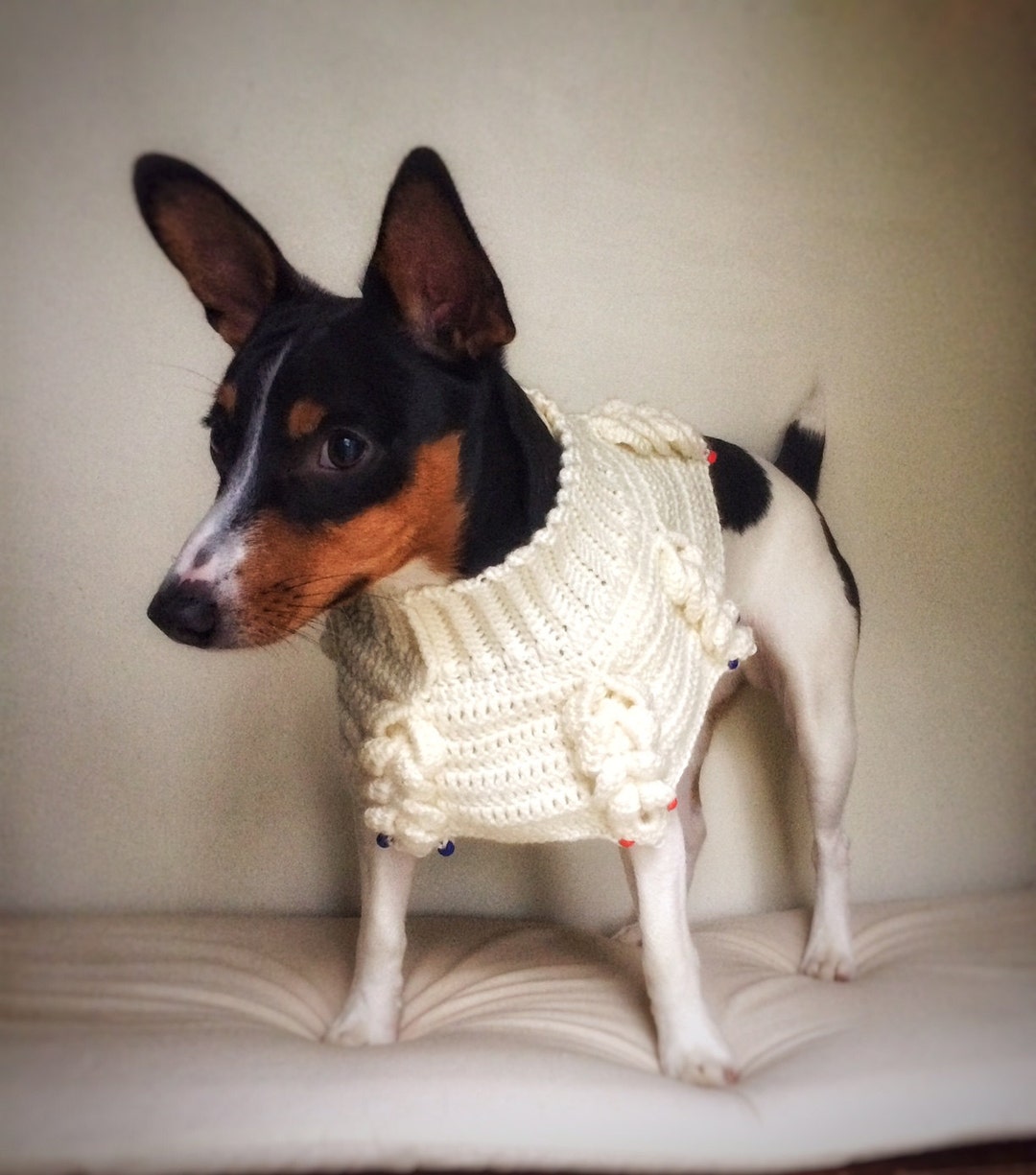 Crochet Dog Poncho Knit Cat Cape Unique Handmade Ivory Photo Etsy