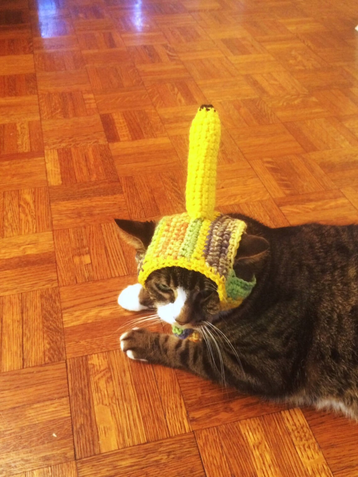 Halloween Costume Banana Head Crochet Cat Dog Hat Yellow | Etsy