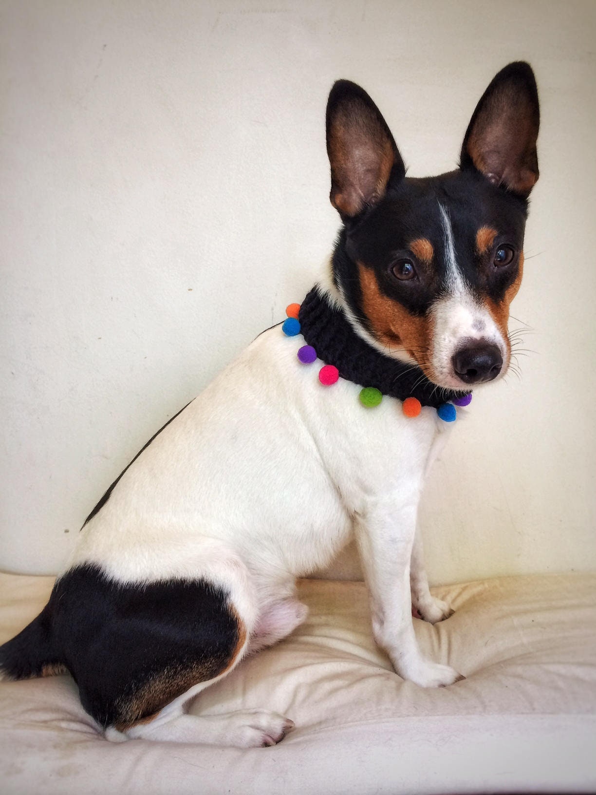 handmade pet accessories