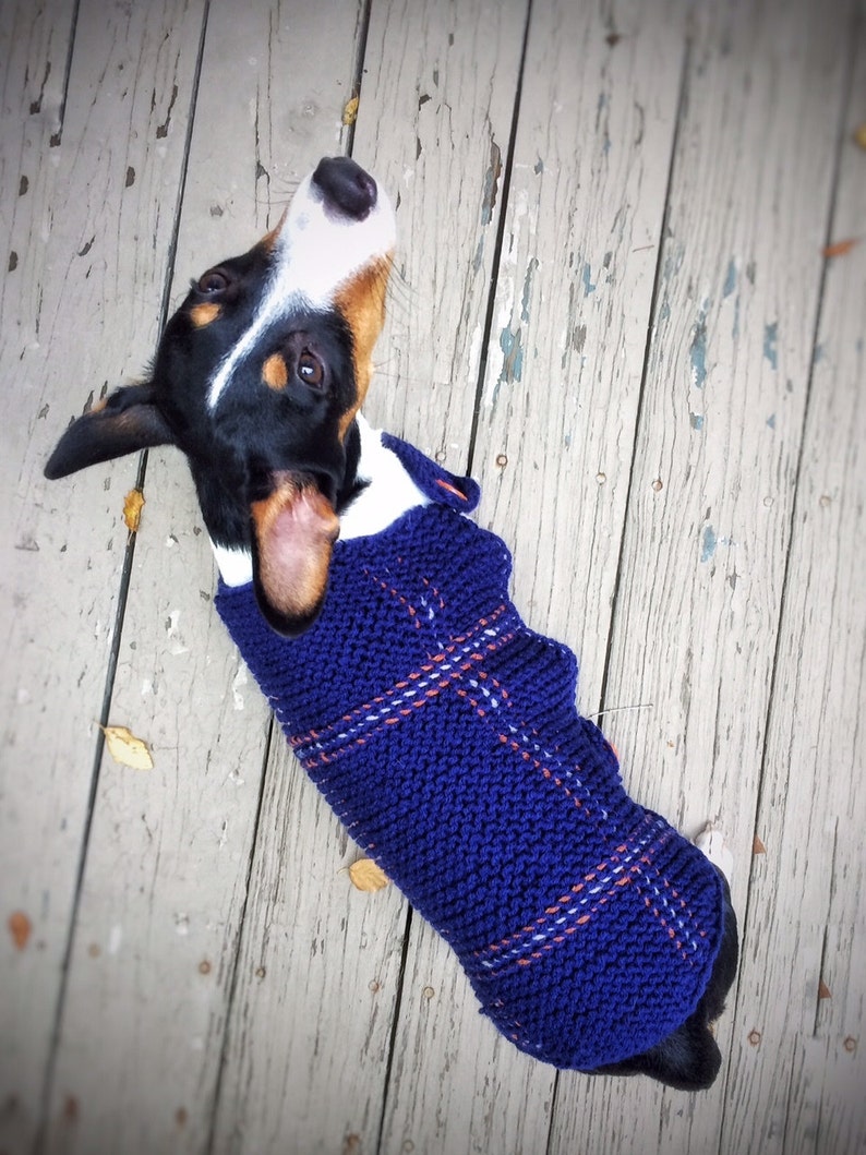 Knit Plaid Dog Sweater Terrier Clothes Blue Tartan Unique Etsy