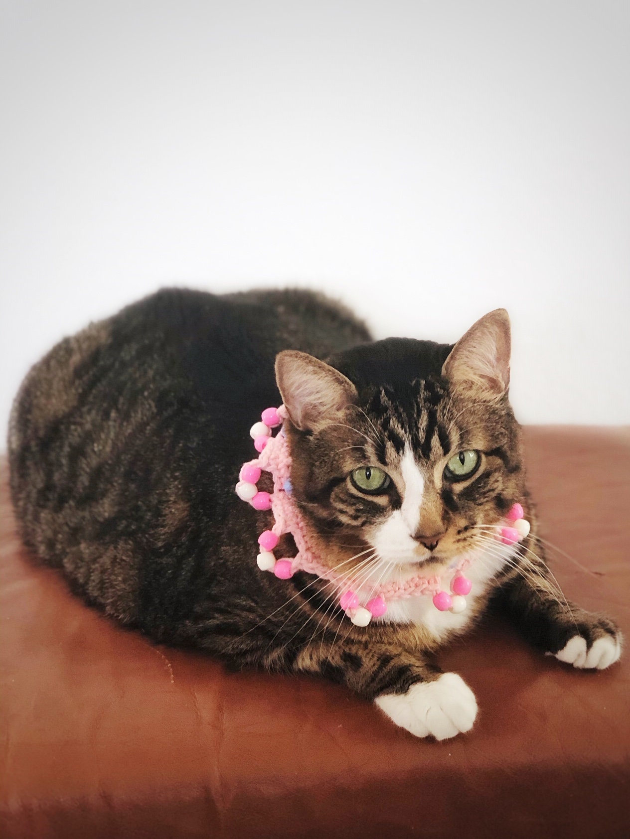 Elastic Cat Collar Beaded Cat Necklace Pink With Blue Beads Elastic