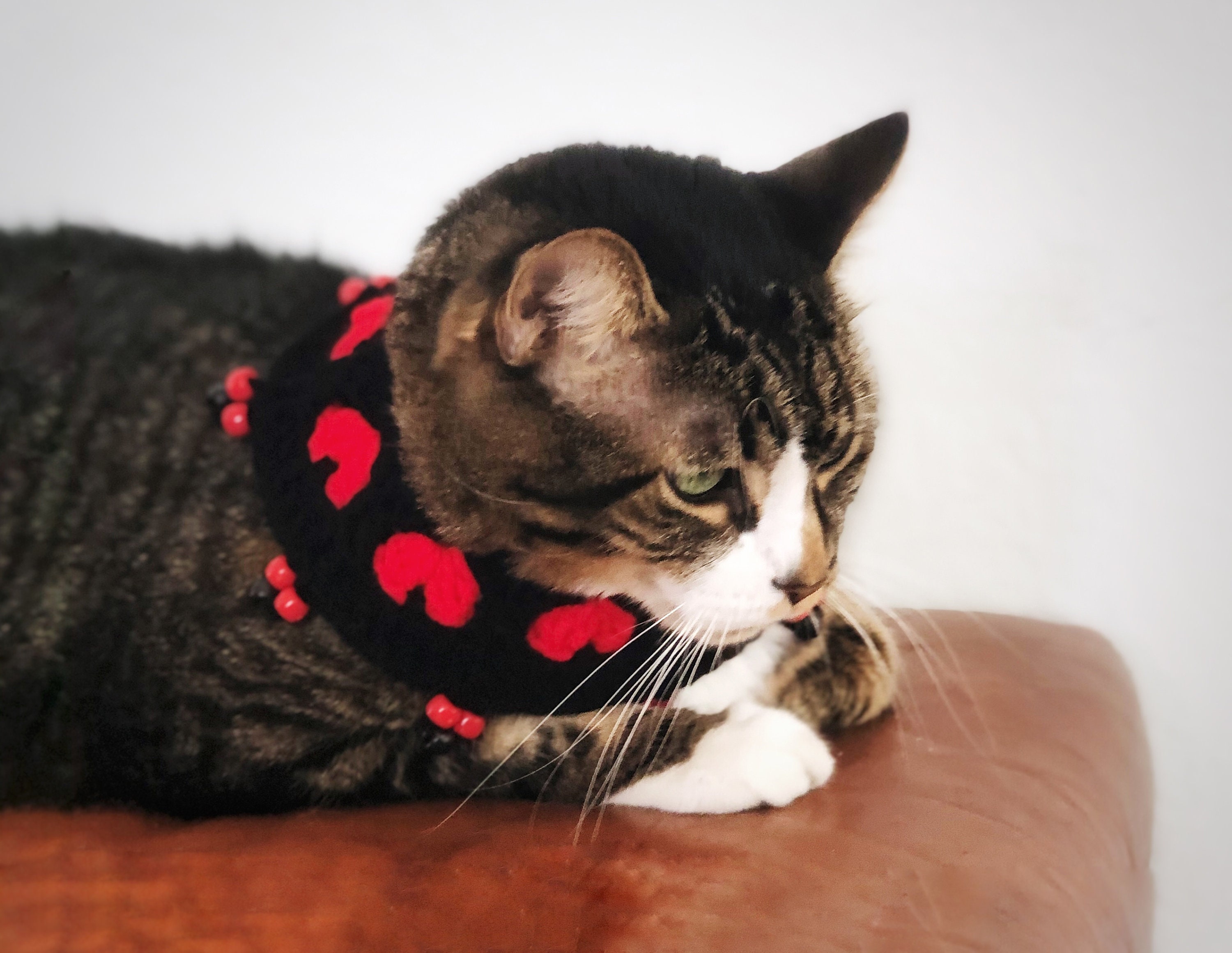 Black Cat Collar Red Hearts Beaded Cat Necklace Black Elastic Crochet ...
