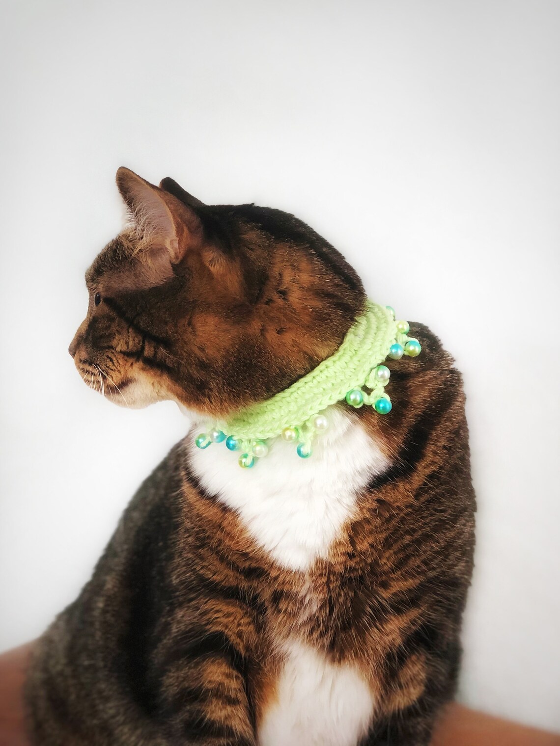 Crochet Elastic Cat Collar Green Beaded Cat Necklace Elastic Etsy