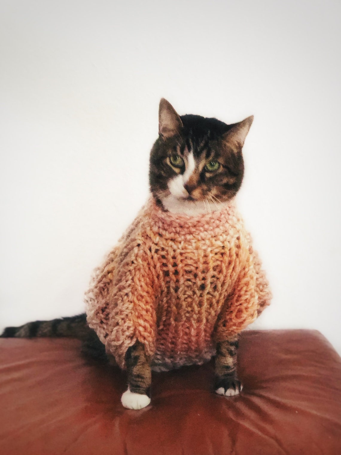 Chunky Knit Sweater for Cat Oversized Cat Sweater Pastel Unique
