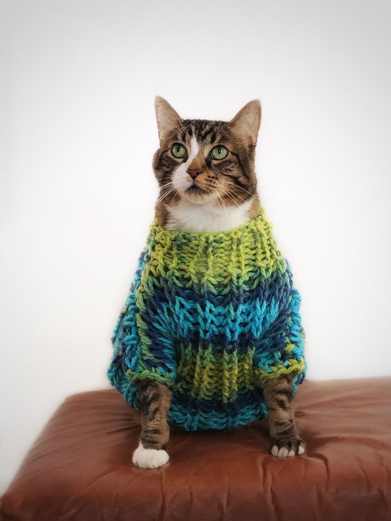 Chunky Knit Sweater for Cat Oversized Cat Sweater Blue Green Etsy