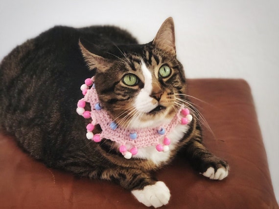 Elastic cat clearance collar