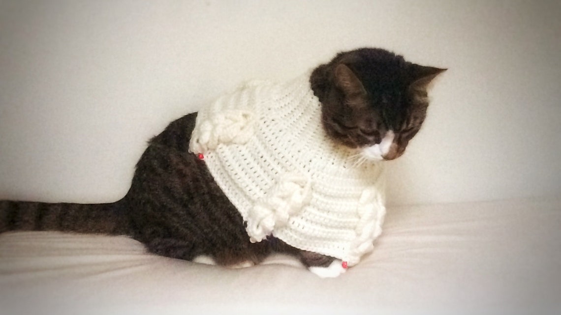 Crochet Dog Poncho Knit Cat Cape Unique Handmade Ivory Photo Etsy