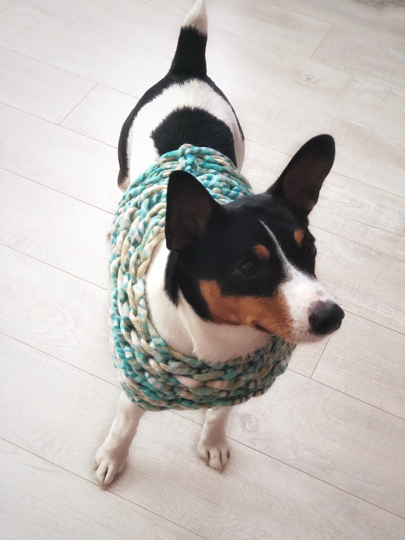 Chunky Crochet Dog Poncho Unique Cape Handmade Blue Terrier Winter