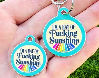 Funny Dog Tag for Dogs - Engraved Rainbow Enamel Pet Charm - "Ray of Sunshine" Teal