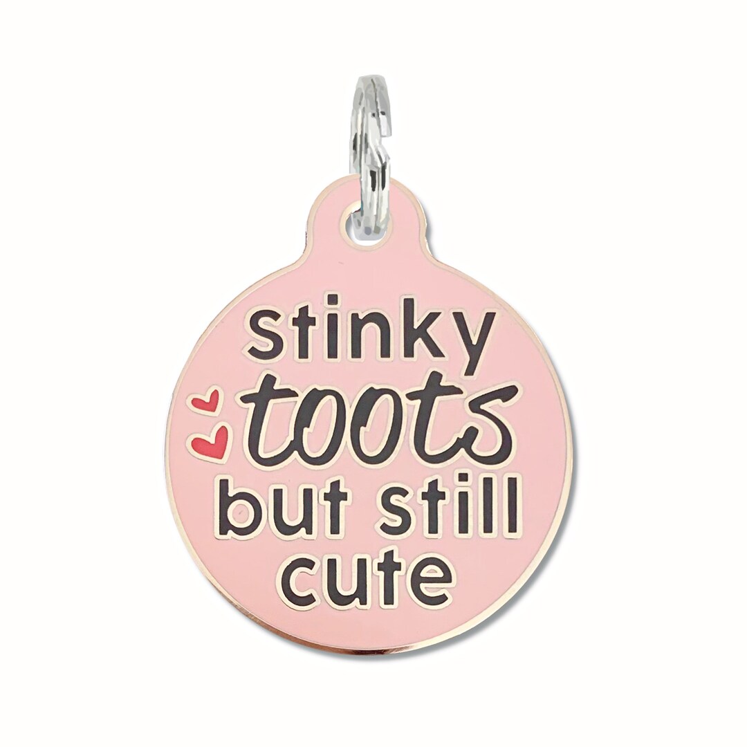 Funny Dog Tags for Dogs &quot;Stinky Toots but Still Cute&quot; Pink Large Dog Tag Charm or Engraved Enamel Pet ID Tag Personalized
