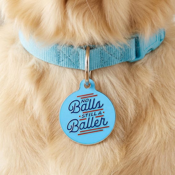 Wunderhbscher Hundeanhnger mit Gravur ""No Balls Still a Baller"", 2  Gren / 4 Gren." - Etsy.de