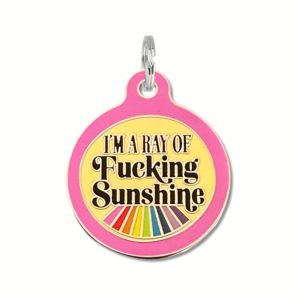 Funny Pet Tags Small Large Personalized for Dogs & Cats "I'm a Ray of Fucking Sunshine" Double Sided Laser Engraved Collar Name tag
