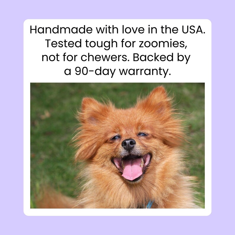Silent Pet ID Tag Personalized • Silent Dog Tag Yellow and Purple - "Mom's Favorite Child" image 8