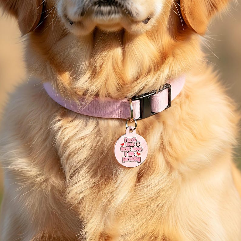 Girl Dog Tag Personalized "Feed Me & Tell Me I'm Pretty" Custom Engraved Pet ID image 4