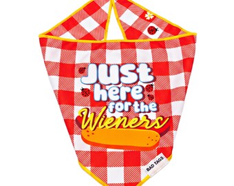 Funny Dog Bandana • Reversible Gingham, Daisies, Ladybugs - "Just Here for the Wieners"