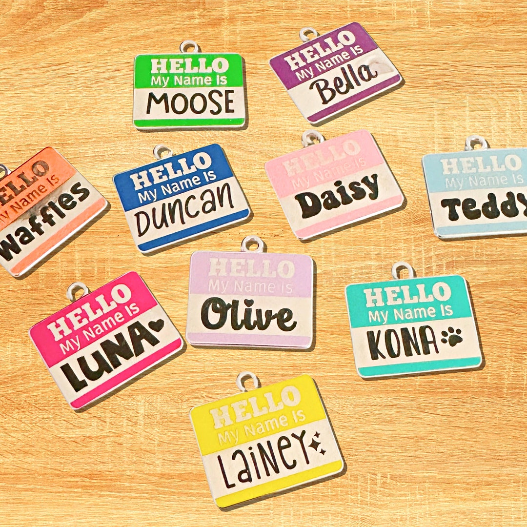Enamel Small Dog or Cat Collar Name Tag hello My Name Is Double Sided ...