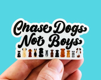 Funny Dog Mom Stickers for Cup Tumbler Laptop Waterbottles - Durable Waterproof - Chase Dogs Not Boys - Gift Idea Dog Mom