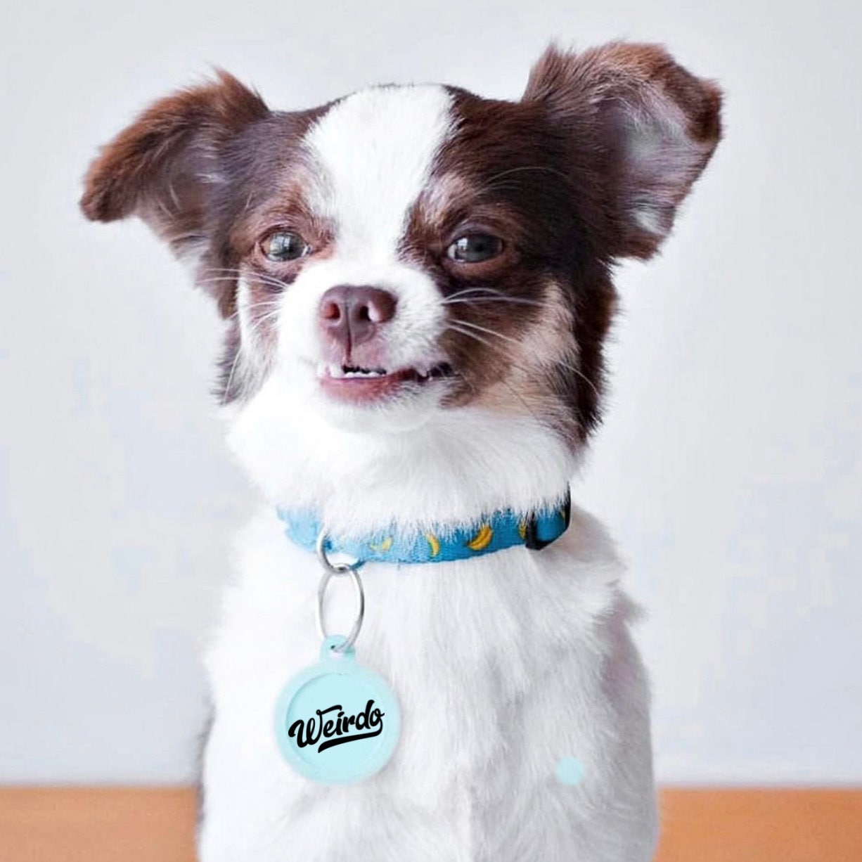 Funny Dog ID Tags for Pets Weirdo Double Sided Silent Etsy