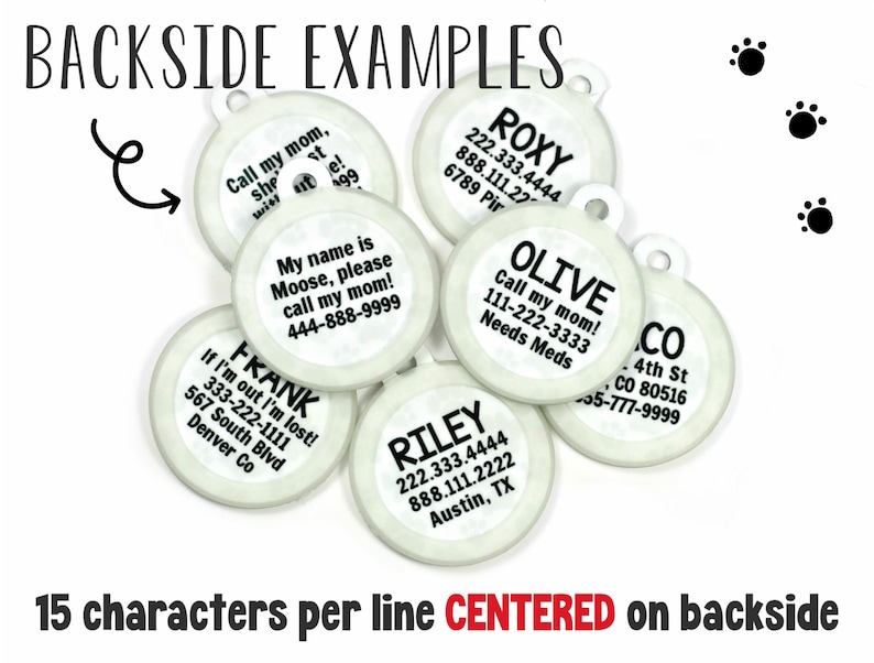 Head Bitch in Charge Girl Dog Collar Name Tag Personalized Double Sided Pet ID Tag
