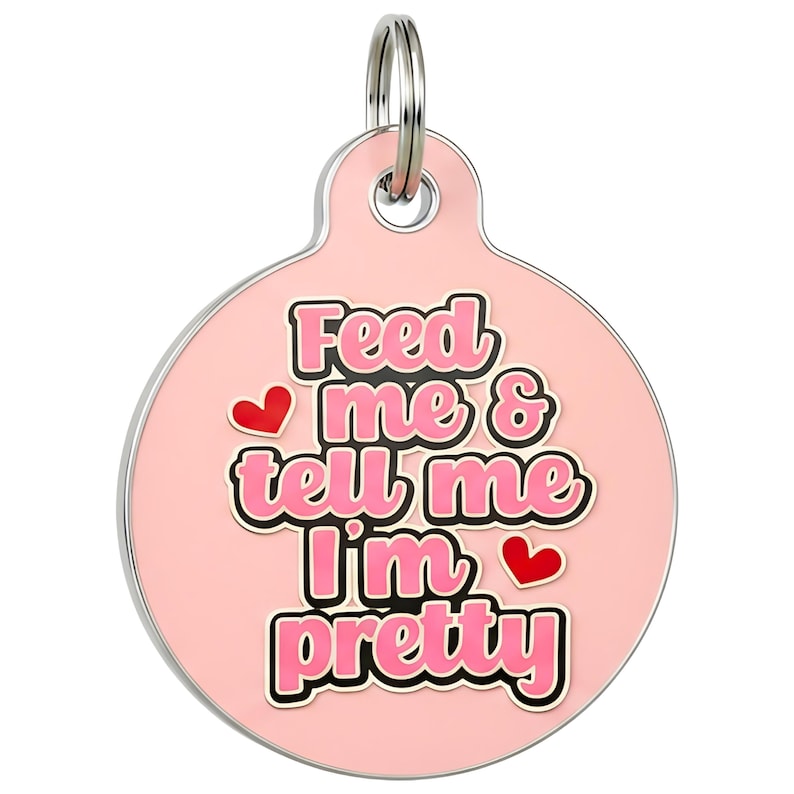 Girl Dog Tag Personalized "Feed Me & Tell Me I'm Pretty" Custom Engraved Pet ID image 1