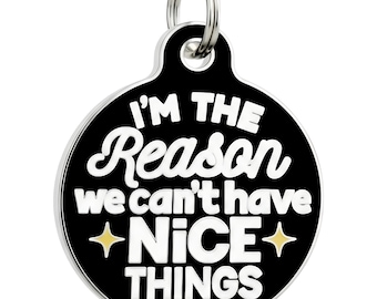 Funny Pet Tags for Dogs and Cats, Backside Engraved Enamel, Size SM & LG - "Reason Why Can't Have Nice Things"