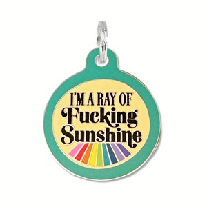 Funny Dog Tag Personalized Small or Large Pet ID Tag "I'm a Ray of Fucking Sunshine" Durable Engraved Enamel Dog Collar Charm Accessory
