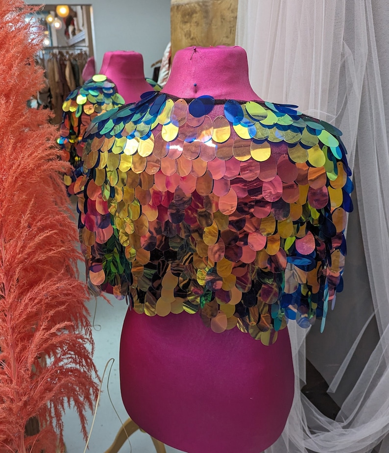 May include: A rainbow iridescent sequined top with a pink form-fitting bodice. The top is made of small, round sequins that are sewn together in a pattern that resembles fish scales.