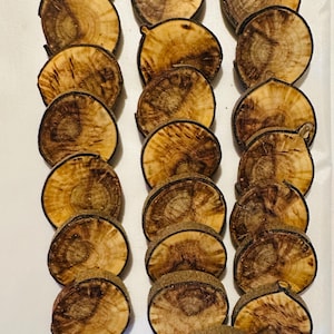 Rustic 20 of pieces maple with slices, rustic wood for DIY, 10 blank with slices for Christmas tags, crafts, and more