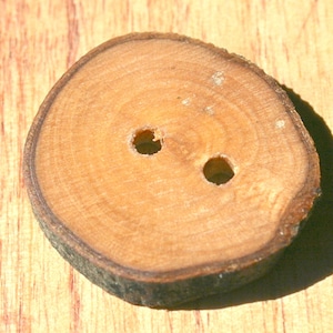 May include: A round wooden button with two holes in the center. The button is made from a light brown wood with a darker brown ring around the edge.