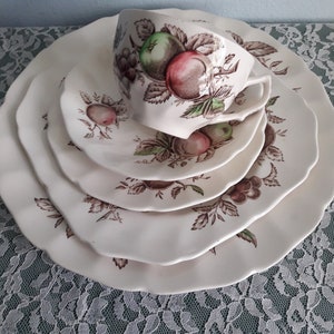 Vtg China Set - 5 Piece, Johnson’s Brothers, Harvest Time Brown Multicolor Collectible Tableware Country Garden Decor Cups, Saucers, Plates
