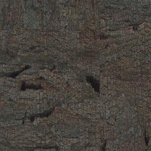 Aged Moss Cork Wallpaper