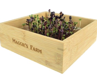 Microgreens kit with Personalized bamboo box, DIY soil free everything you need indoor garden, custom veggie planter, Valentine's Day gift